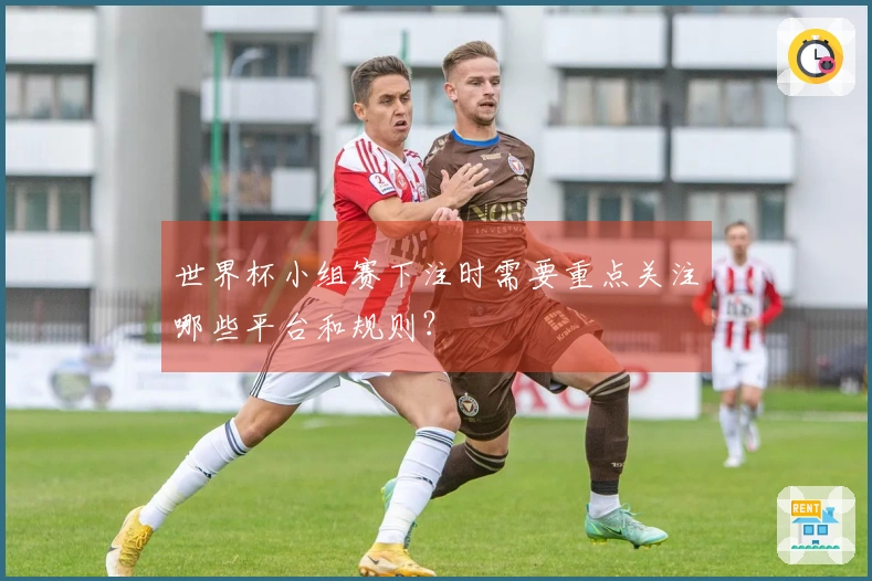 世界杯小组赛下注时需要重点关注哪些平台和规则？