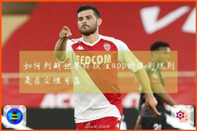 如何判断世界杯投注app的体彩规则是否合理可靠