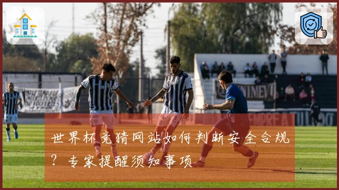世界杯竞猜网站如何判断安全合规？专家提醒须知事项