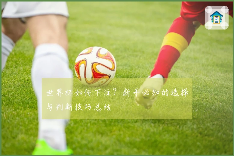 世界杯如何下注？新手必知的选择与判断技巧总结