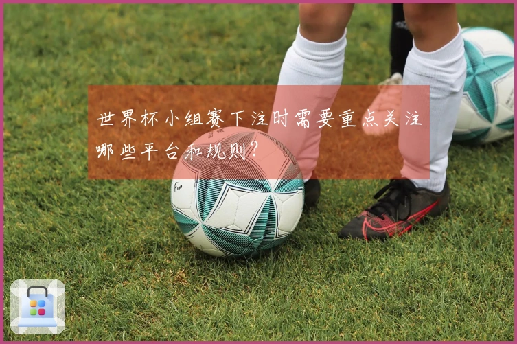 世界杯小组赛下注时需要重点关注哪些平台和规则？